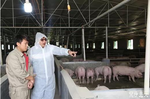 小康股份收购最新动态，步骤指南与最新消息速递