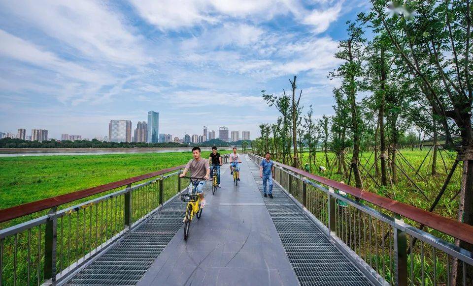 内江市最新干部任命及步骤指南