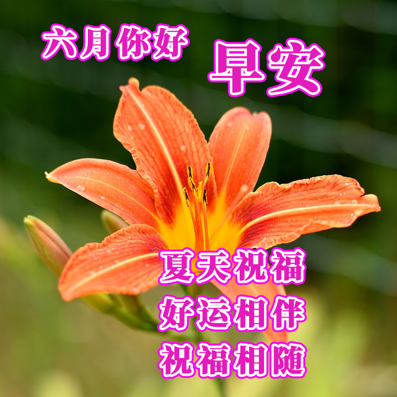 科技新品早上好带字图片，开启全新一天的问候！