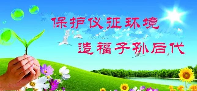 仪征扬农化工最新招聘，启程心灵与自然的奇妙之旅