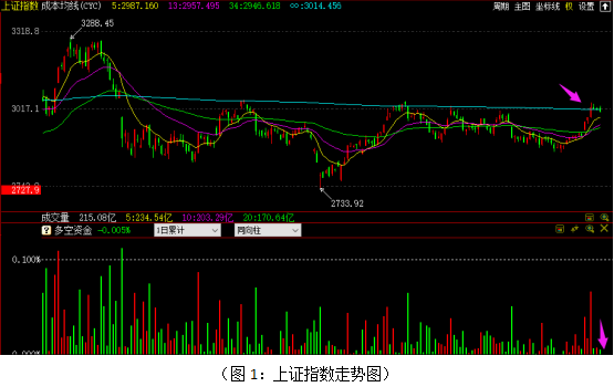 盐田港股票最新动态，深度分析与观点阐述
