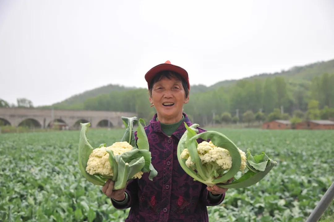 济源就业网最新招聘信息，学习变化，把握机遇，成就更好的自己！