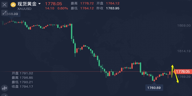 黄金价格走势最新动态，全面指南与步骤解析
