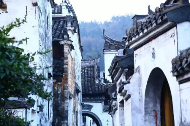 揭秘詹天佑最新预测与小巷深处的特色小店探秘之旅