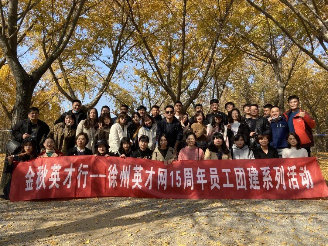 徐州英才网最新招聘信息详解，解读与观点阐述