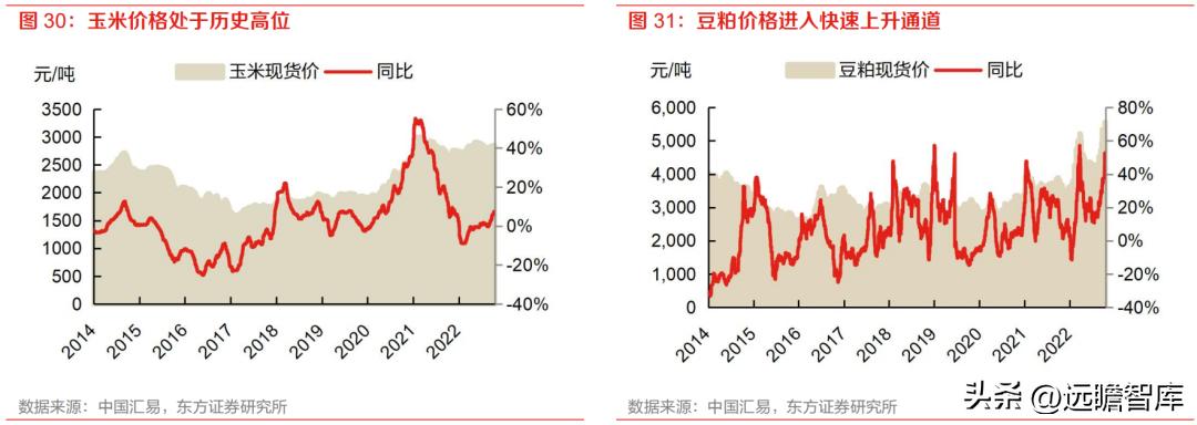 大北农股票最新动态与资讯📈📚