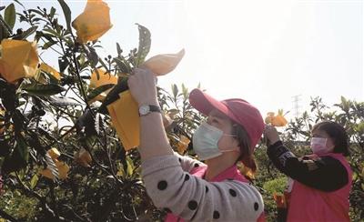 路桥桐屿最新招聘信息