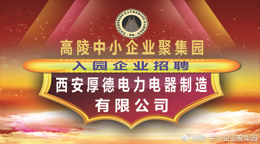 陕西国德电气