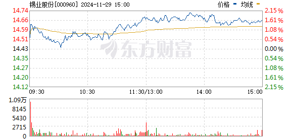 锡业股份最新动态与小巷深处的特色小店探秘