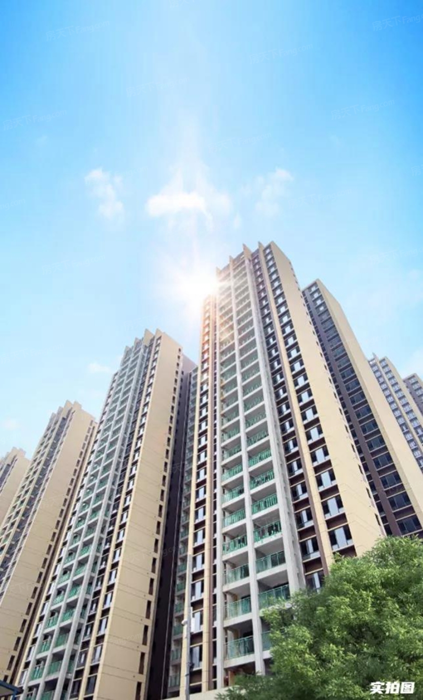 钦州港租房最新信息全面概览