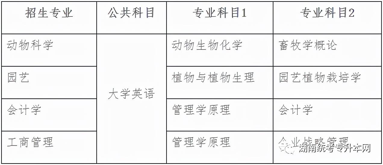 一码一肖必中特,专业解读评估_SJF79.473影像版