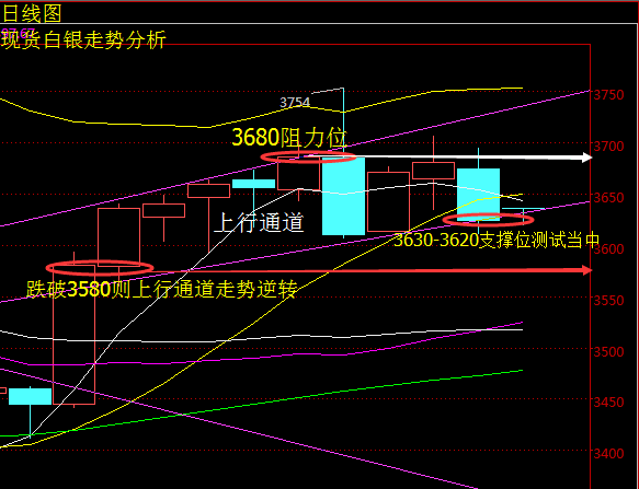 现货沥青行情深度解析，最新动态与趋势展望