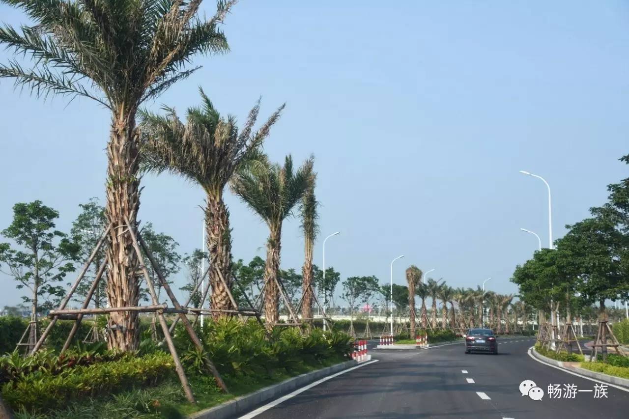 漳州港双鱼岛最新探索，小巷深处的独特风情与美景一览