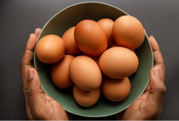 河南鸡旦价格最新行情动态更新📈🥚