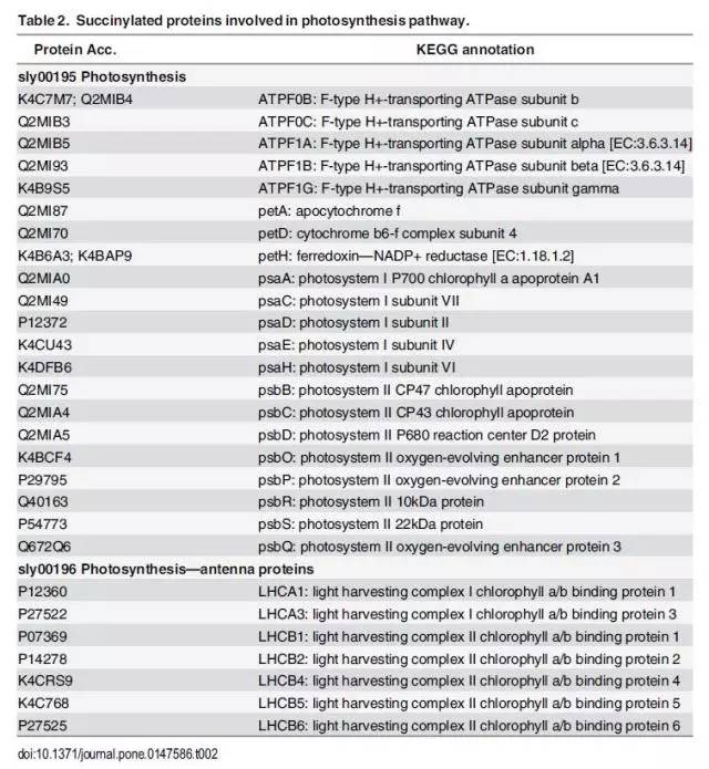 二四六香港资料期期中准l,精细化实施分析_TQK83.871实用版
