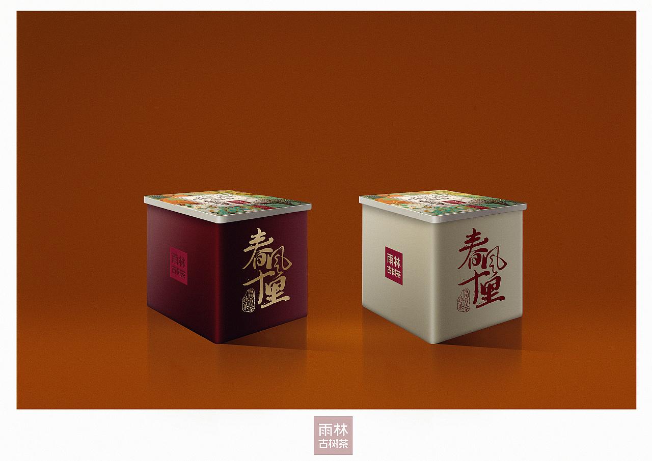 雨林古树茶最新价格及指南