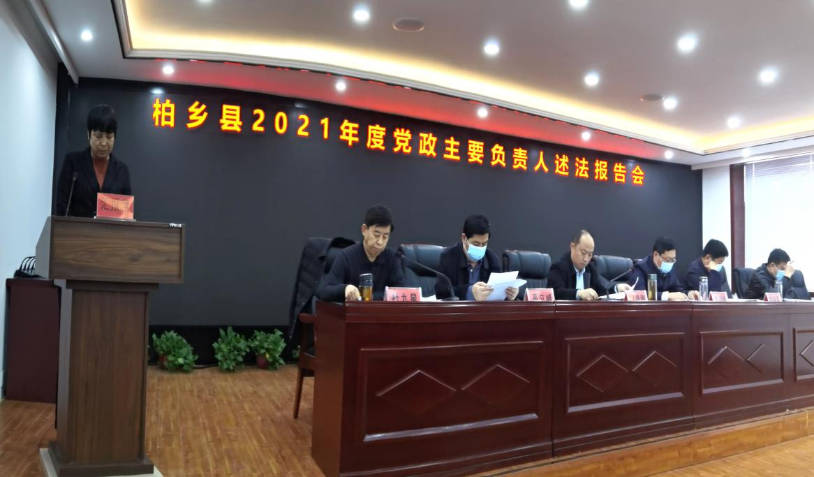 柏乡县最新新闻动态，观点阐述与深度解析