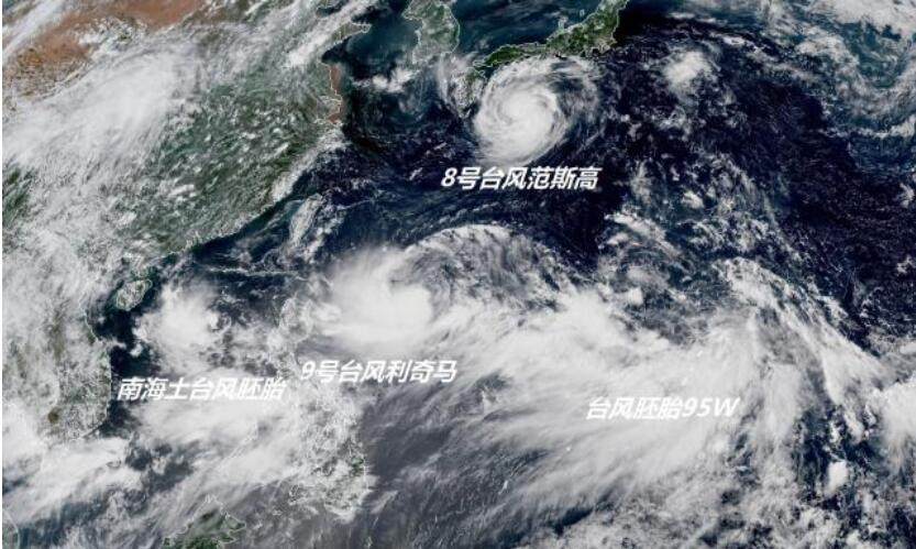 罗莎台风最新动态，探寻自然美景之旅，寻求内心宁静与平和