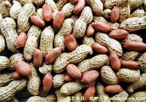 今日花生价格更新，一粒花生的成长与你的励志之旅