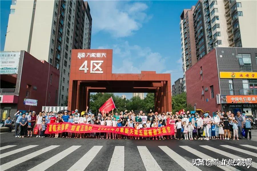 新天最新招聘，启程友情与梦想之旅