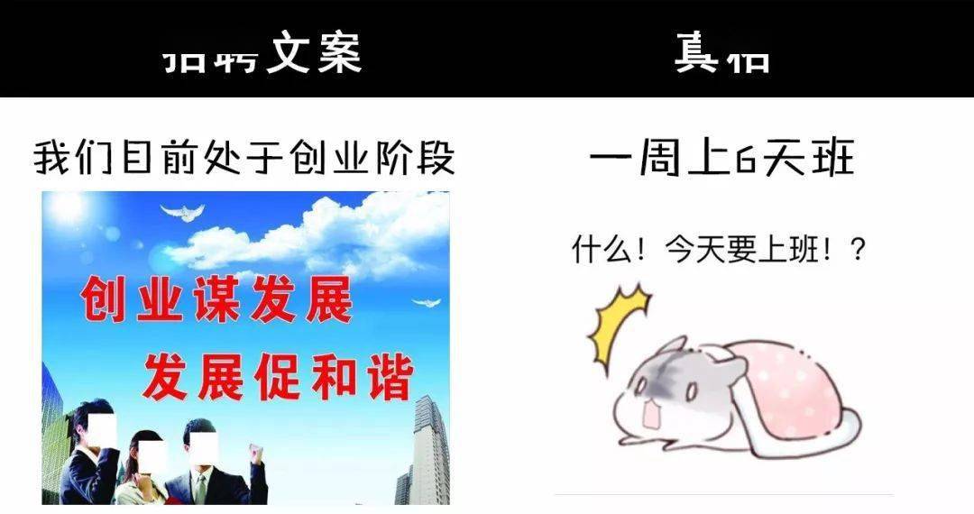 自然对话与内心宁静之旅