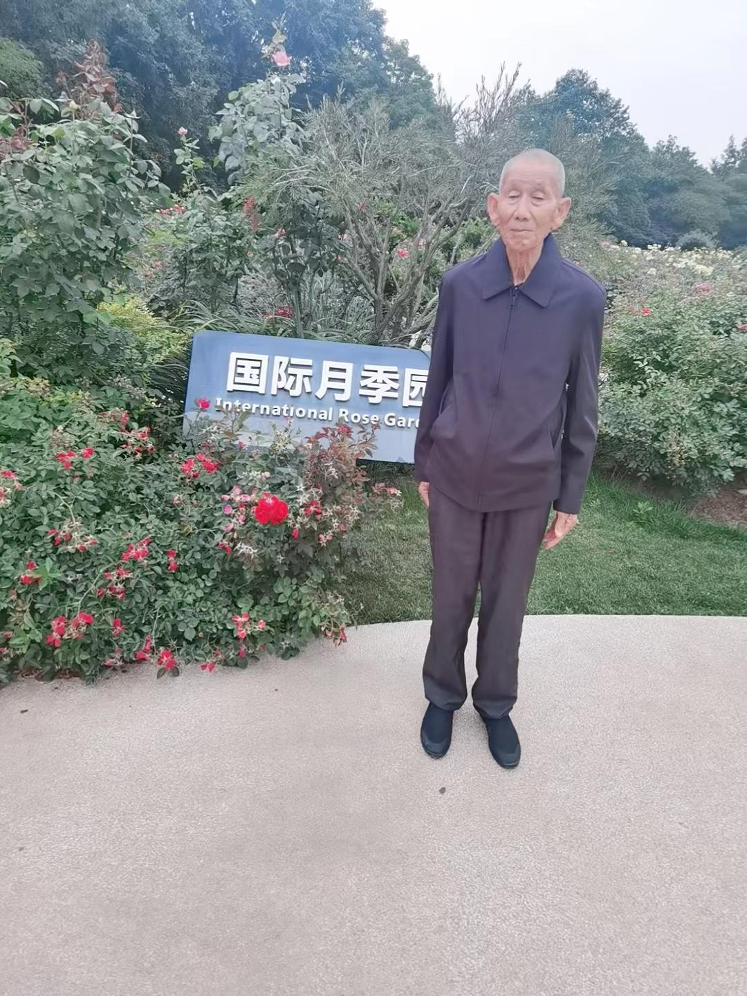 最新寻人启事图片解析与应用探讨，要点与趋势