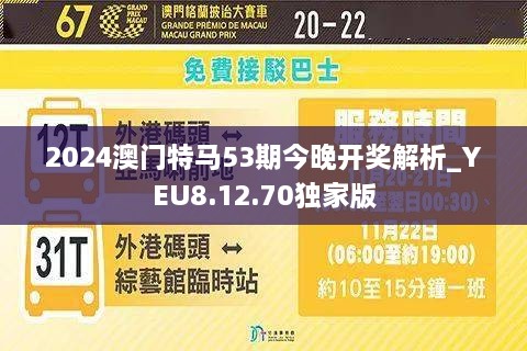 2024今晚澳门开特马开什么,实践调查说明_增强版16.334