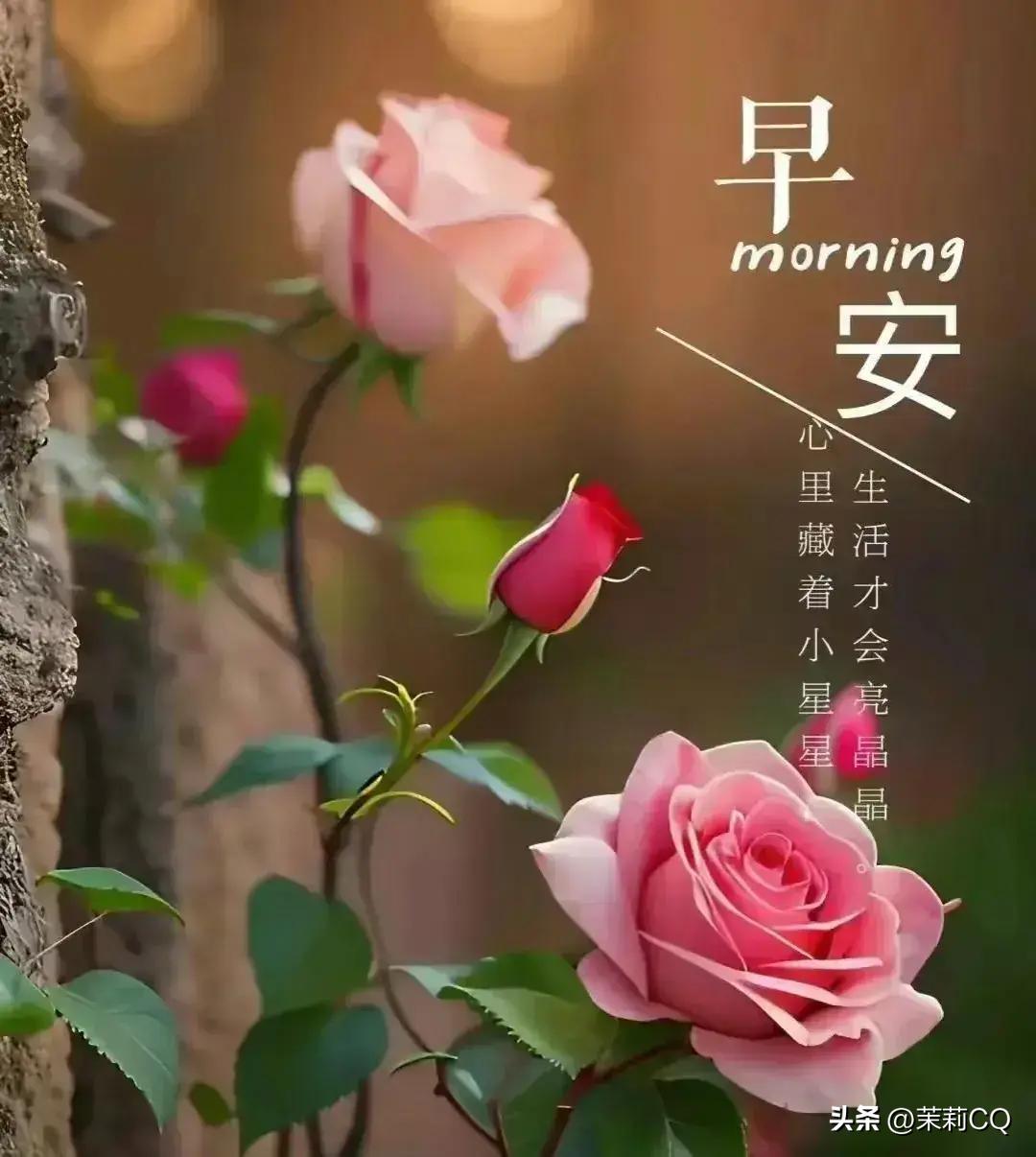 未分类 第17页