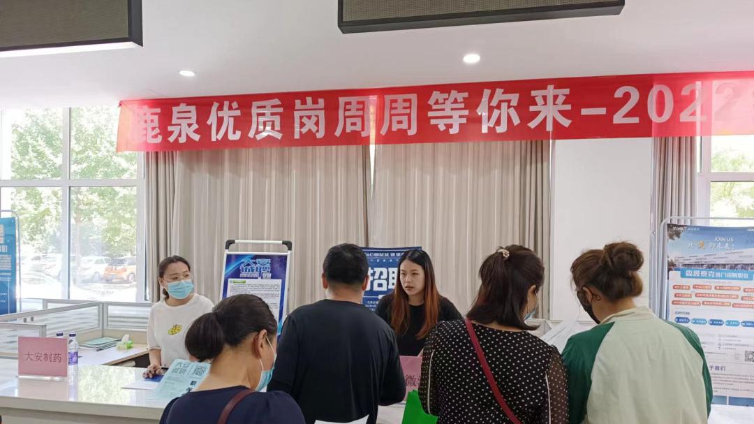 鹿泉最新招聘信息揭秘，职场新机遇探寻