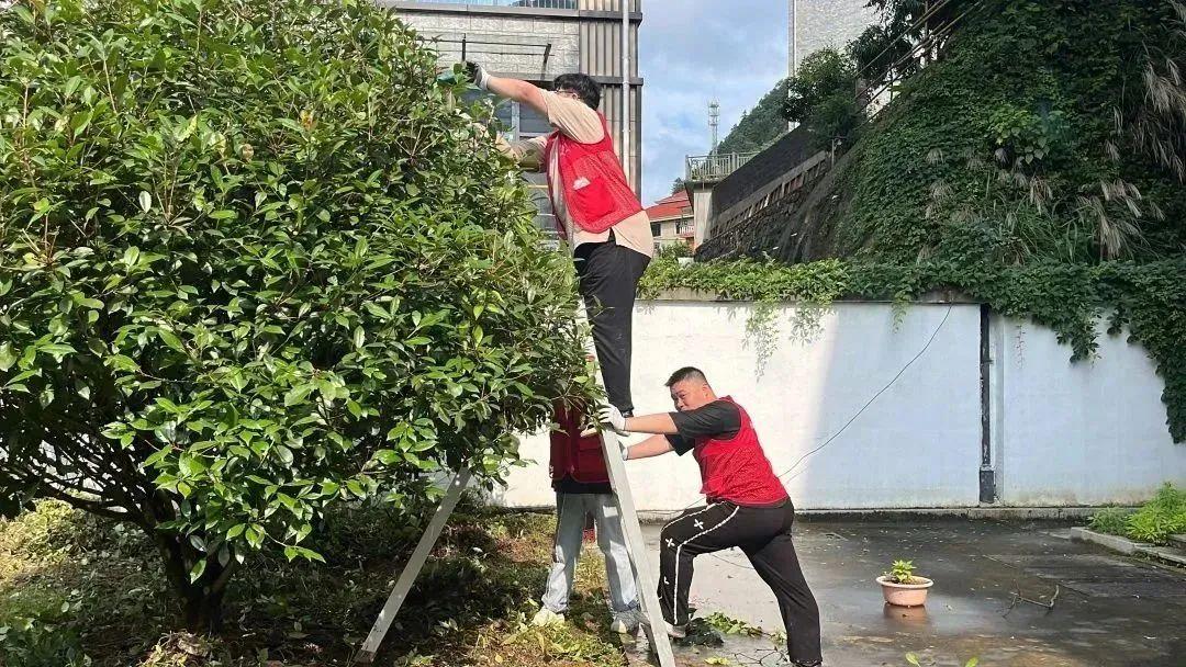 动漫桌面背景，科技与生活的完美融合前沿产品