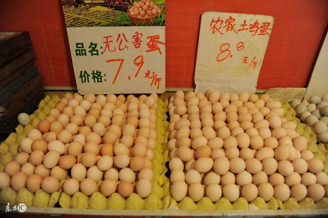 河南鸡蛋价格最新行情动态及指南