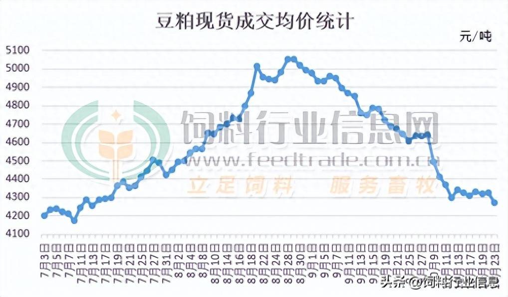 豆粕今日价格，友情与陪伴的温馨故事之旅