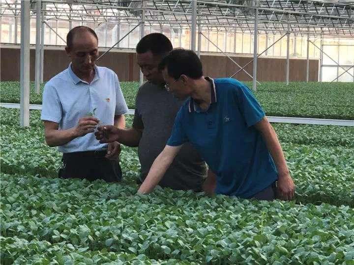 宁夏人才网最新招聘信息，学习变化，成就自信与梦想之路