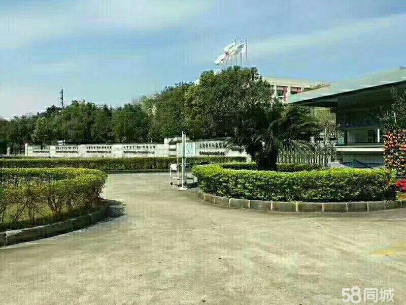 沙井明阳电路最新招聘信息发布