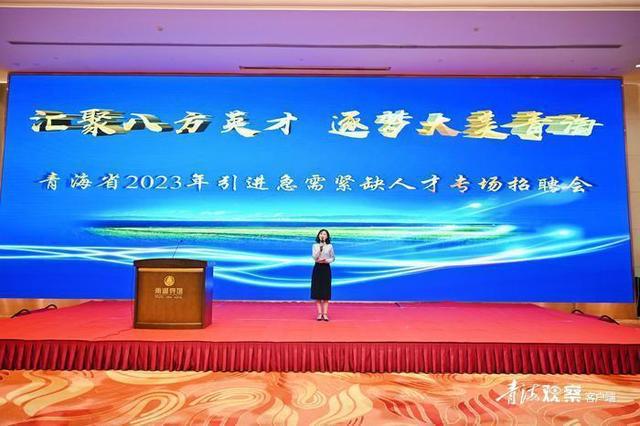 青海人才市场最新招聘信息，求职全步骤指南