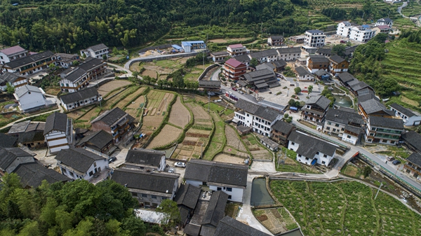 新邵县坪上镇最新项目，乡村振兴与现代化建设的融合发展之路