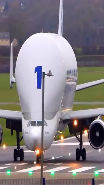 空中巴士最新动态，观点阐述与解析