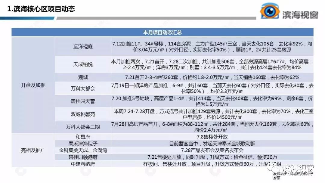 最新消息与观点论述