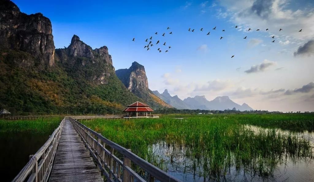 宛溪河二期最新动态，自然美景的探索之旅，心灵洗涤与重生