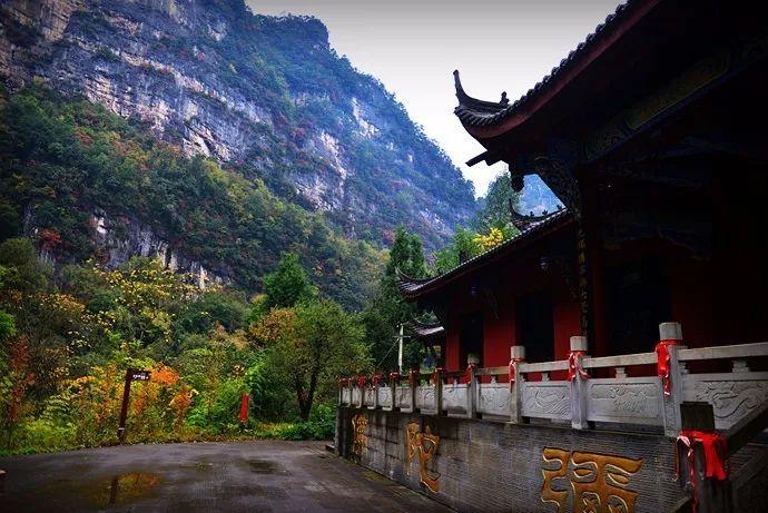 中原新区探索自然美景之旅，寻找内心平和之地最新消息