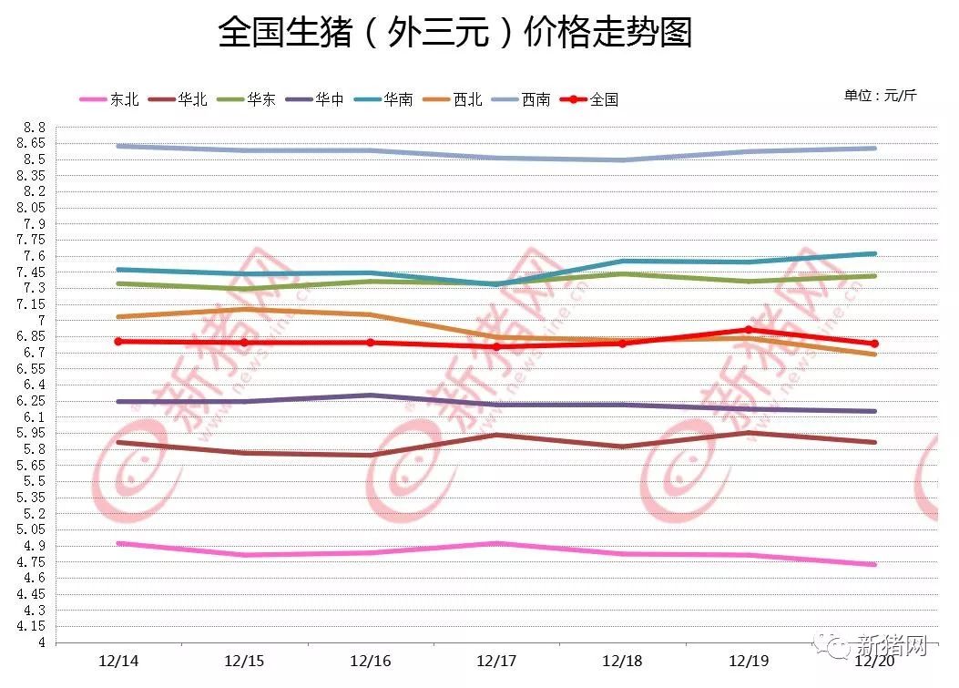 科技引领未来，最新猪价实时更新触手可及