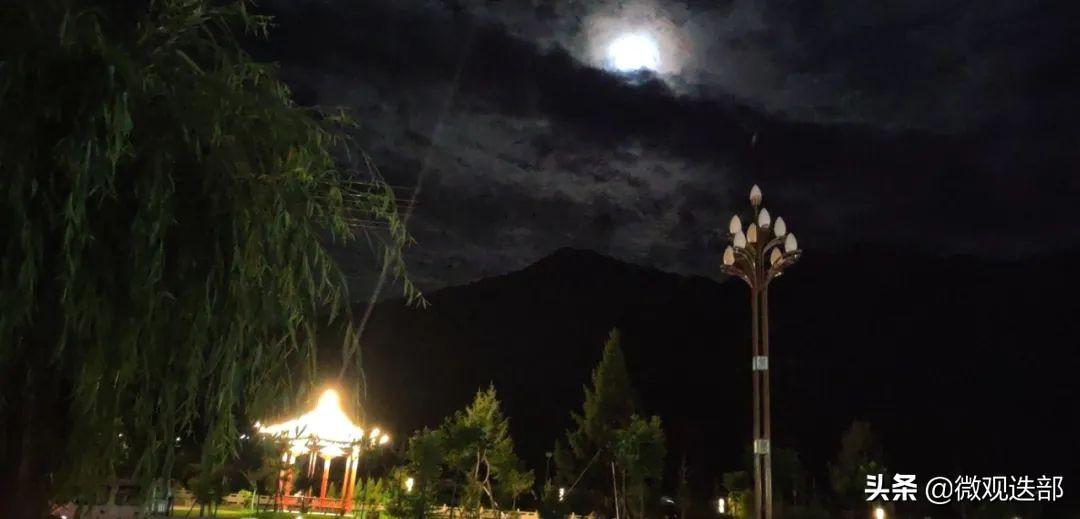 最新车款带你驶向自然，探寻内心宁静之旅