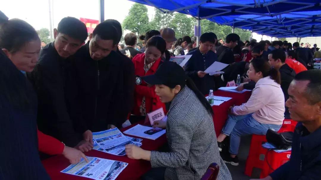 澧县最新招聘信息全面概览