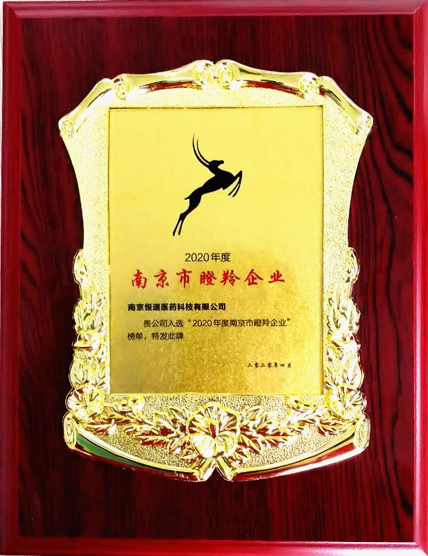 南京科技前沿新闻速递，高科技产品引领潮流介绍