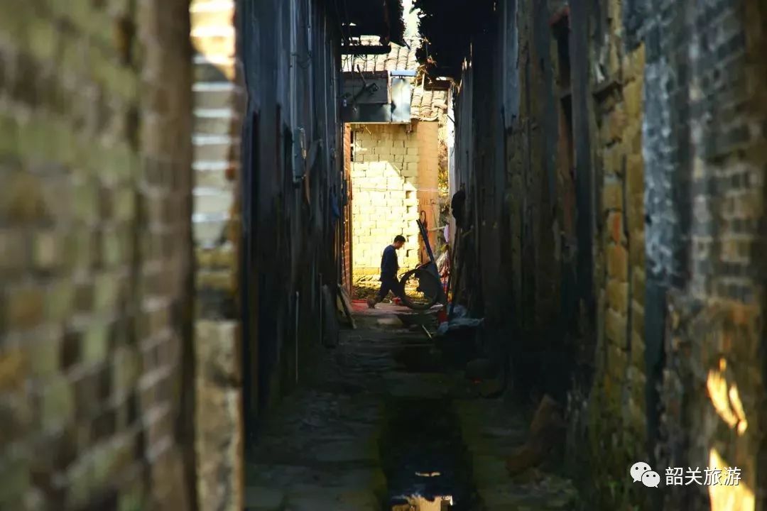 田欣宇最新发现，小巷中的美食天堂