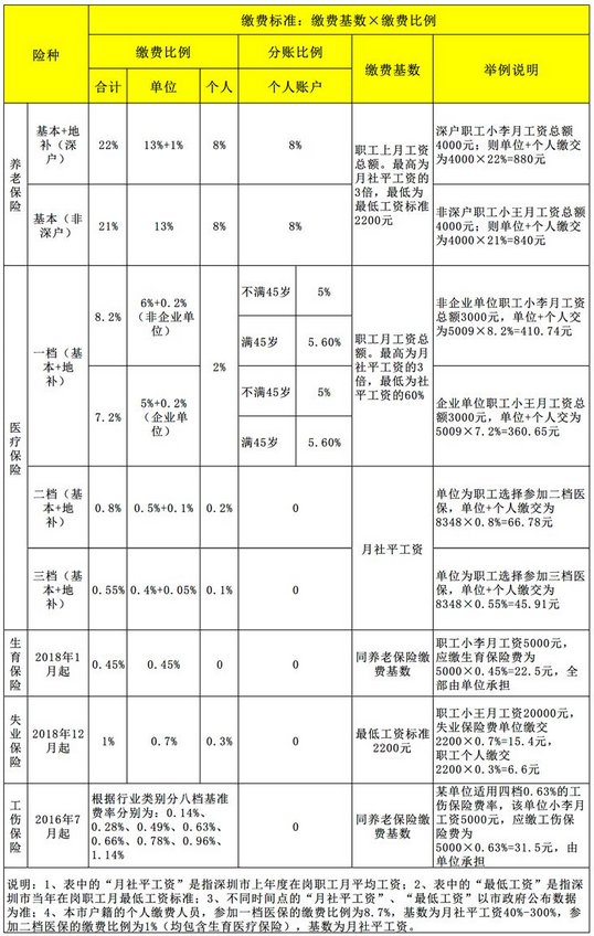 最新社保缴费比率详解与观点论述