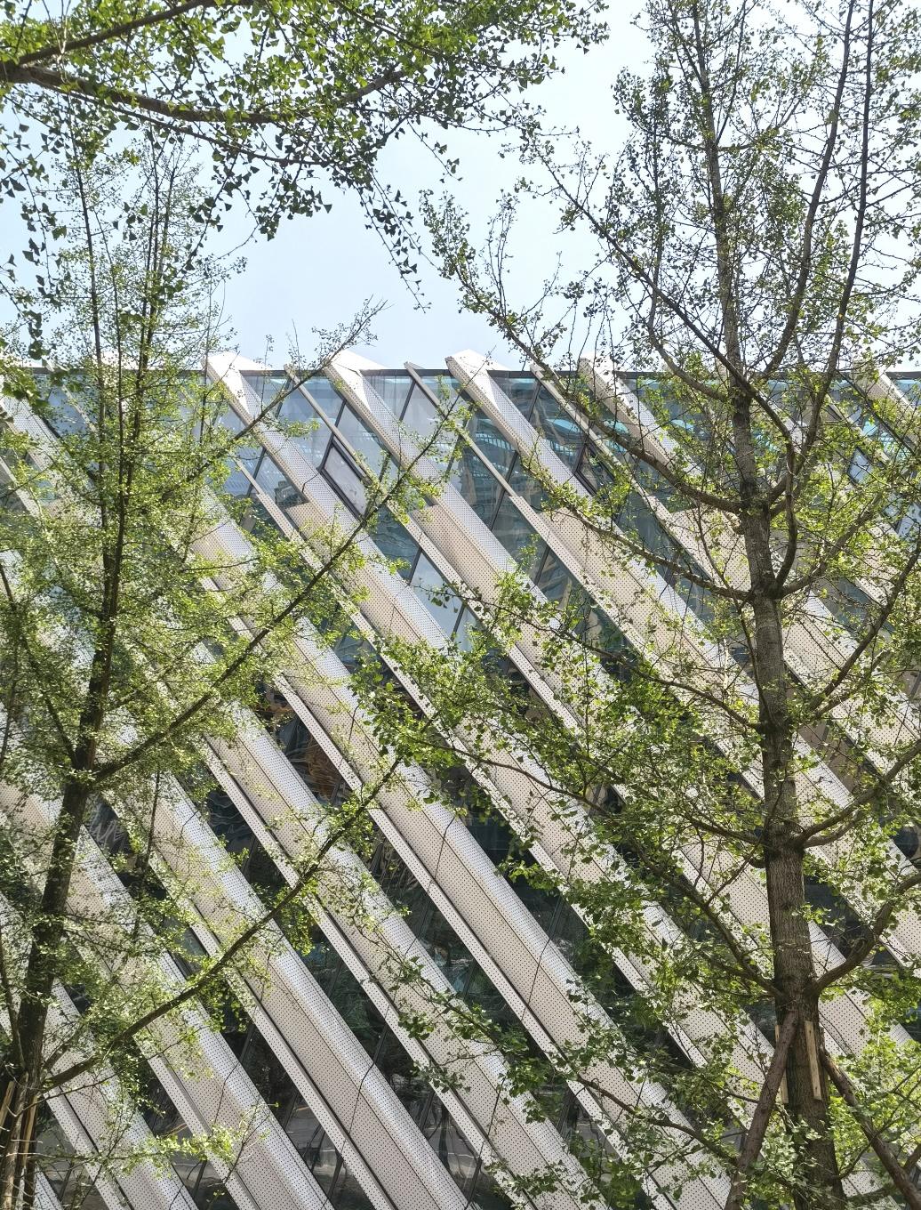 最新简阳西内环，温馨日常的展现