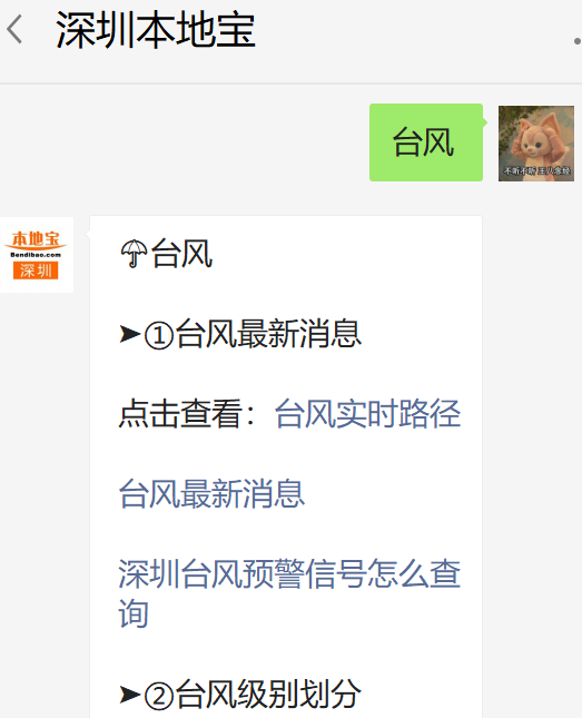 辽宁台风最新动态下的温馨日常故事更新