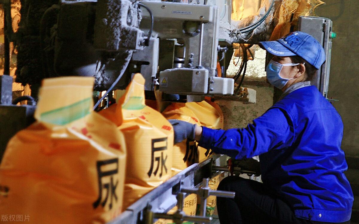 山东尿素价格行情详解，获取与分析尿素价格信息的指南
