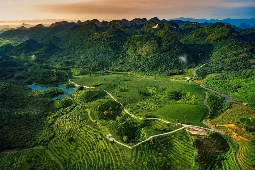 陕西红富士最新价格，探索自然美景之旅，寻找内心平静之旅